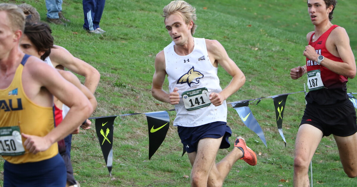 Montana's Ashlyn Dvorak, Montana State's Ben Perrin take Big Sky honors - Vimarsana News