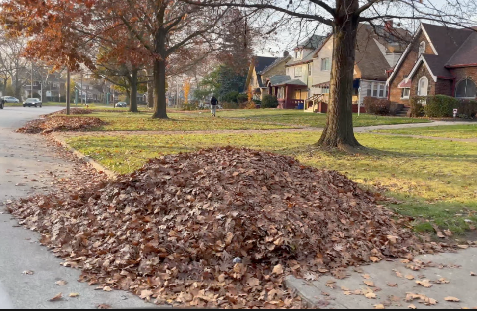 City of Cleveland walks back curbside leaf pickup program, cancels it altogether