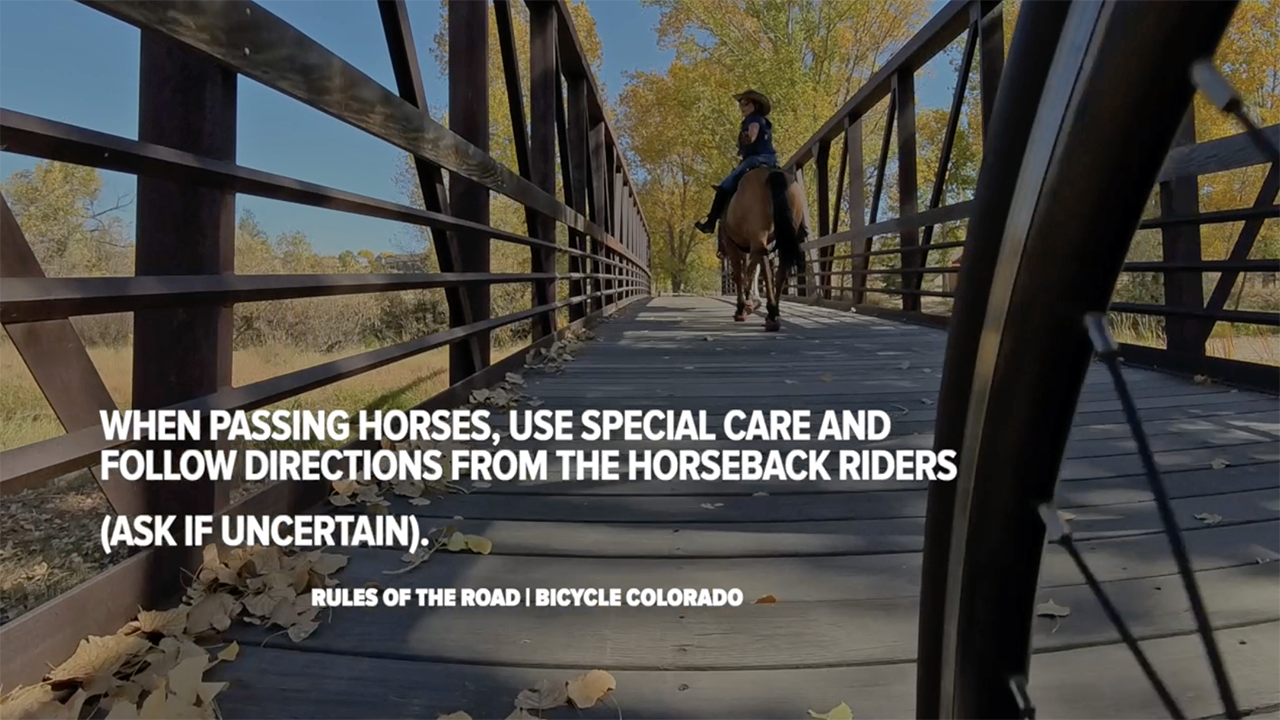 horse on two wheels8.png