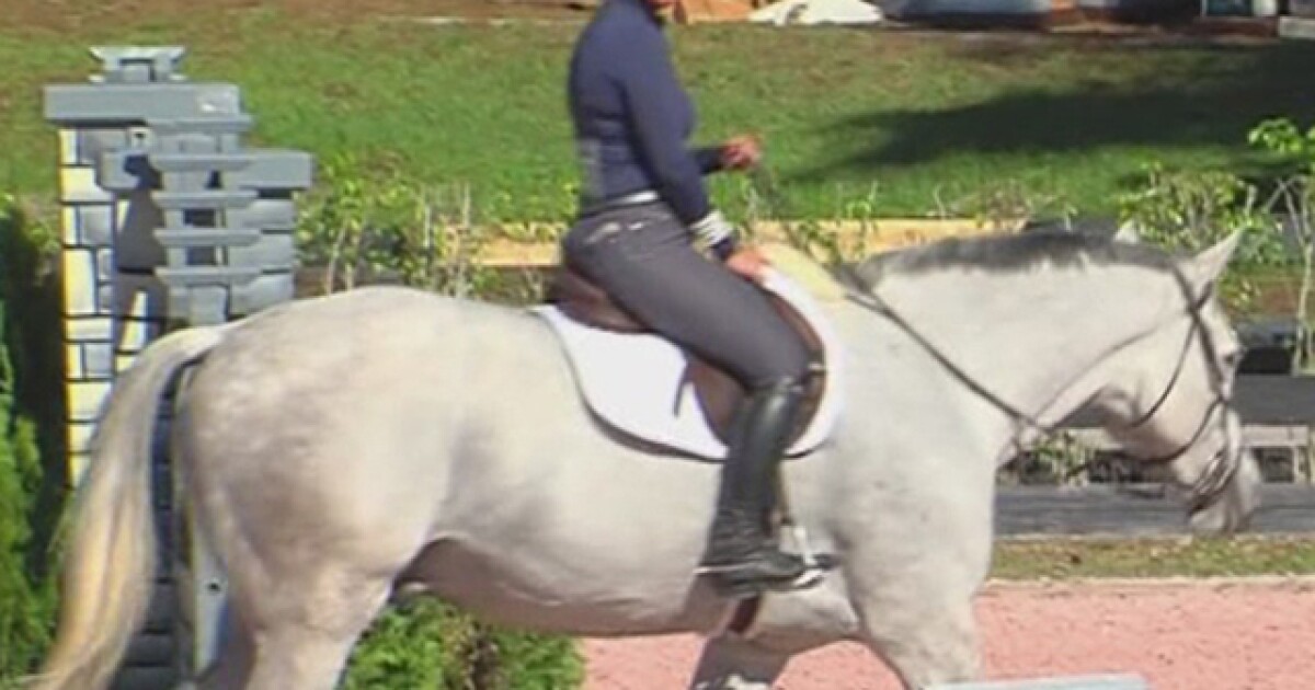 Equestrian festival kicks off in Wellington Equestrian festival kicks off in Wellington