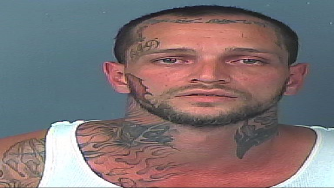PHOTOS: Check out 100+ mug shots from Tampa Bay