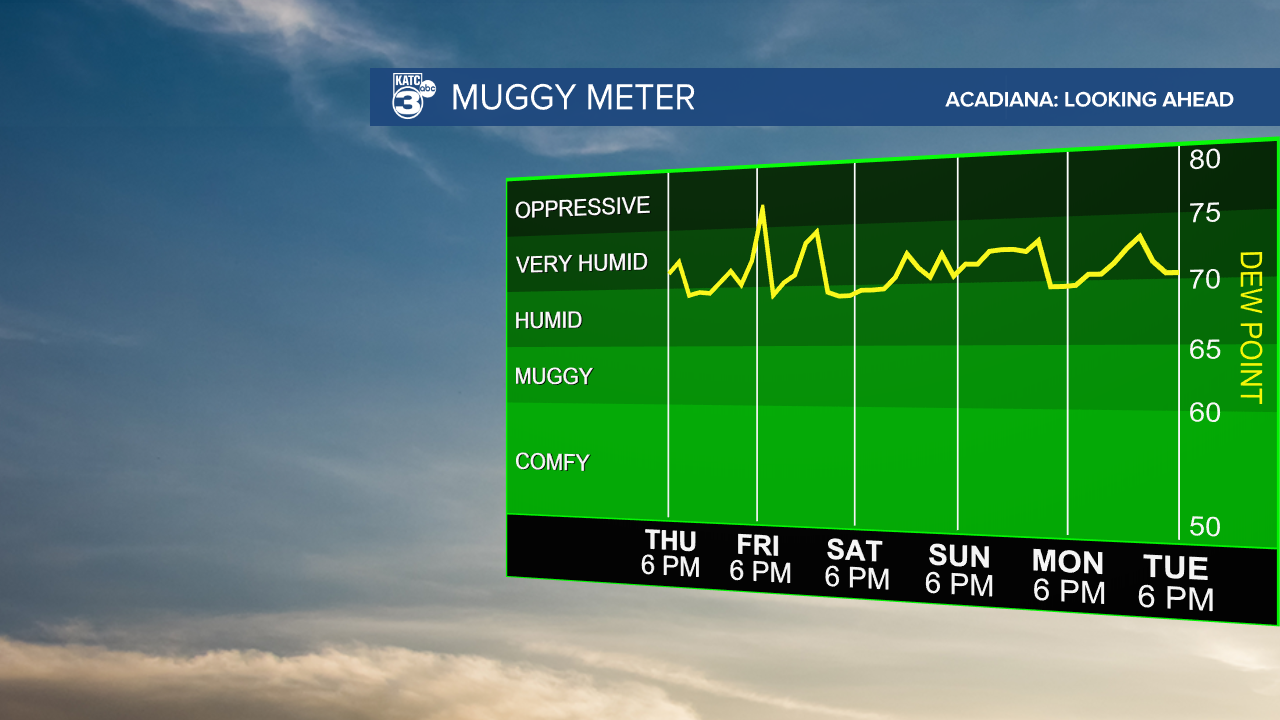 Muggy Meter-1607543012179.png