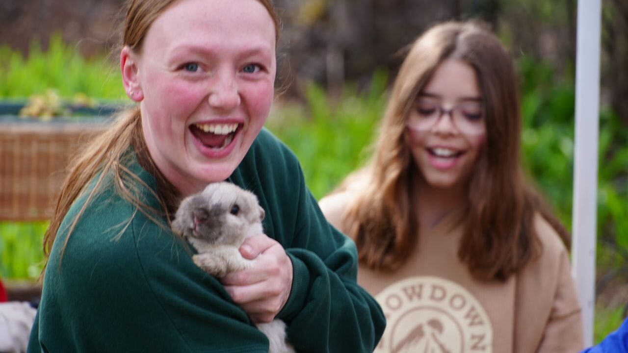 A rabbit roundup in Helena