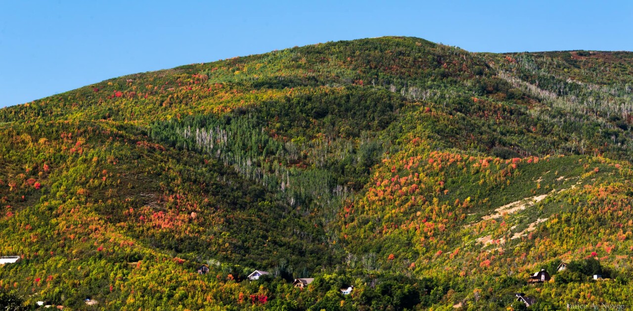Fall colors Midway and Deer Creek Overlook