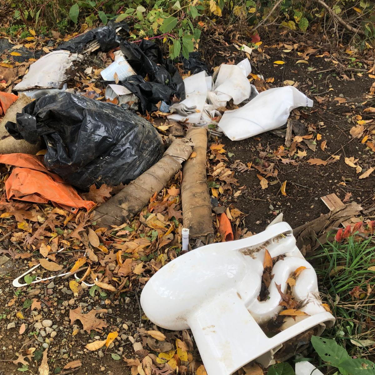 IllegalDumping1.jpeg