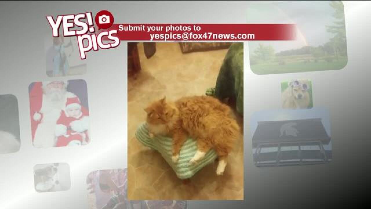 Yes! Pics: 3/6/18