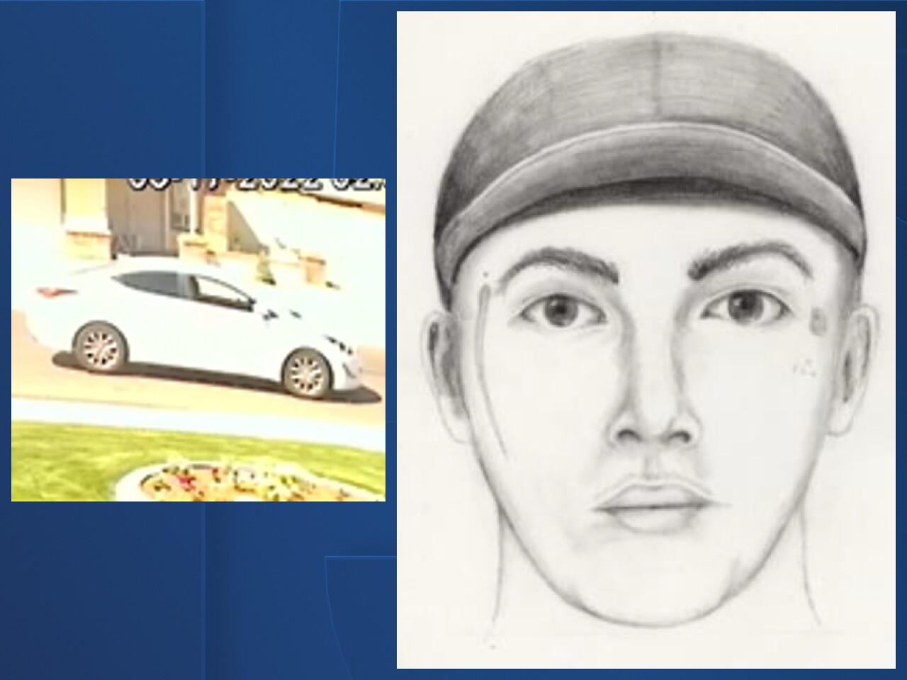 Blue Background copy 6.jpeg