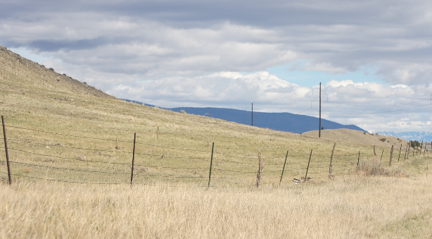 Screen Shot 2026-04-14 at 6.27.44 PM.png