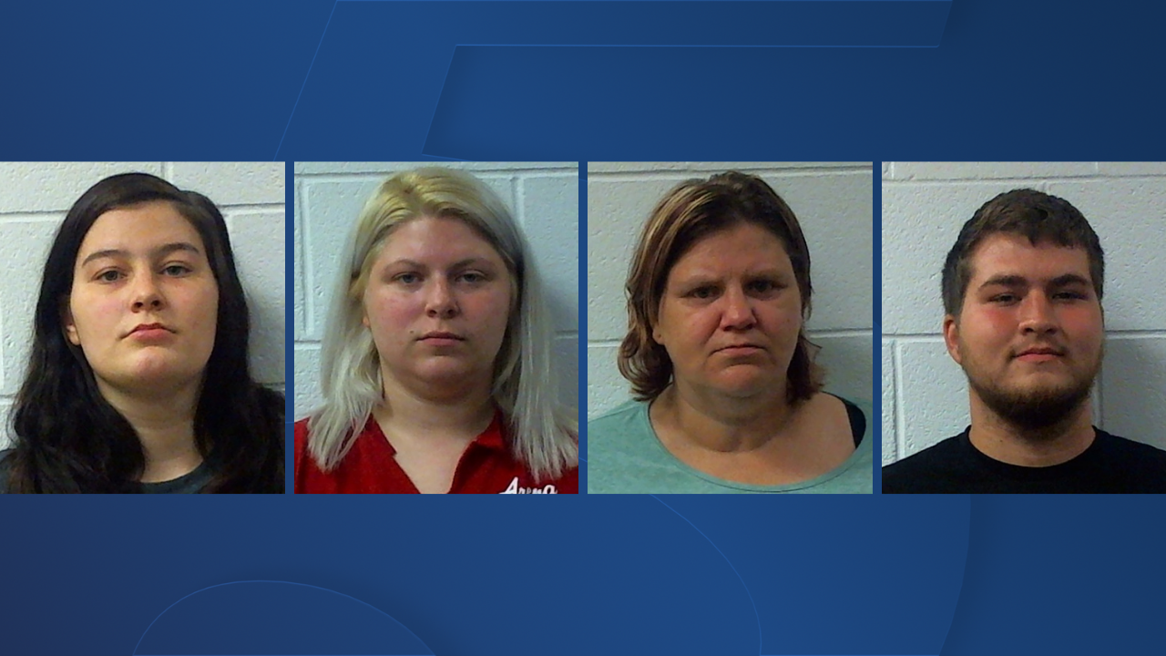 mini's child care arrests