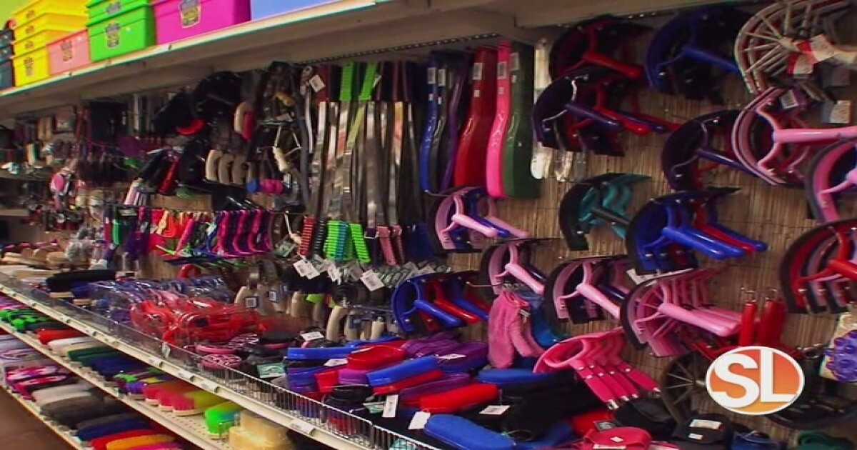 Here's where to find the best pet supply prices