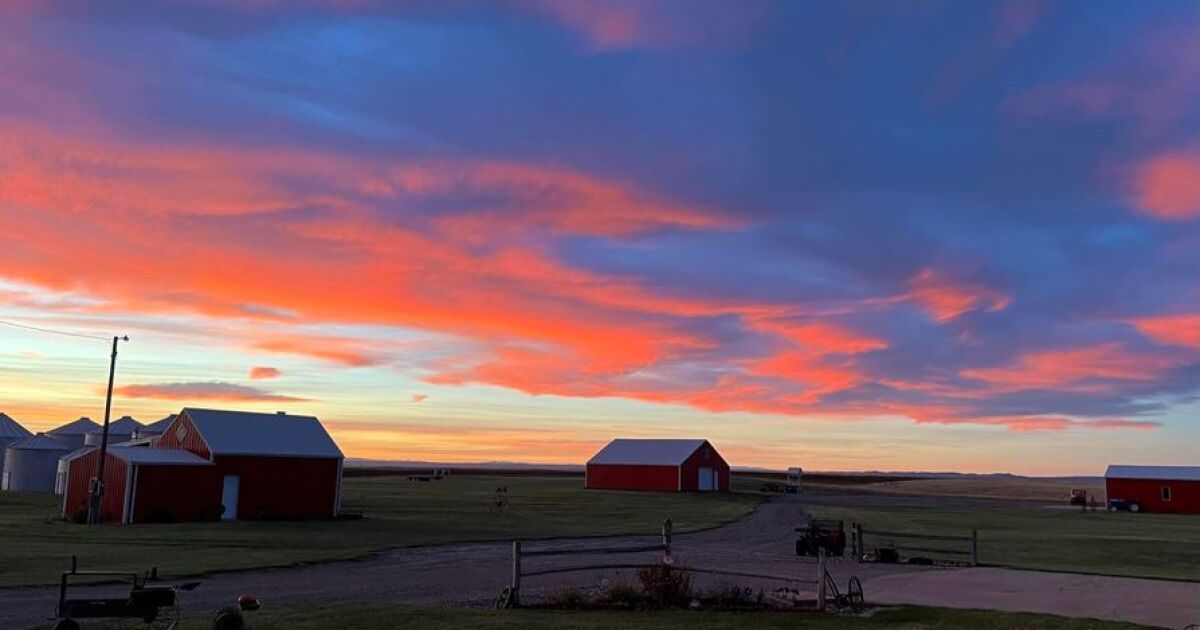 Good Morning, Montana (Monday, November 11, 2024)