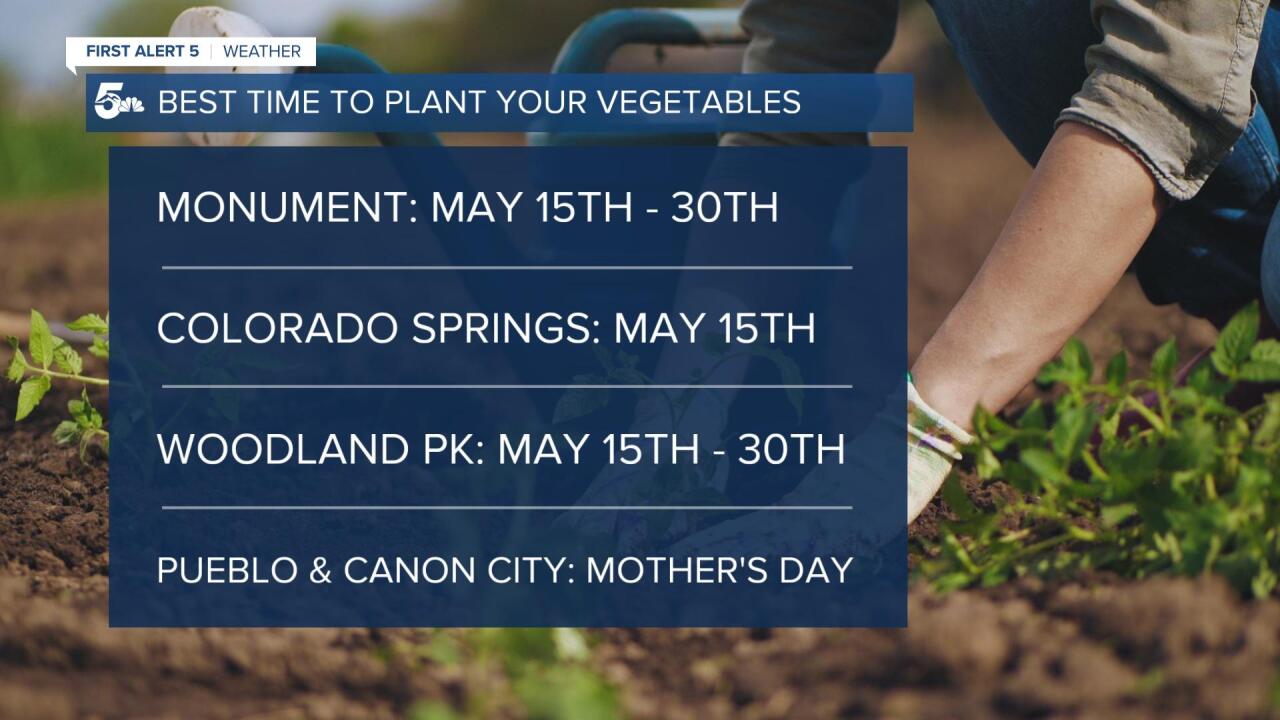 Best Time to Plant your Vegetables