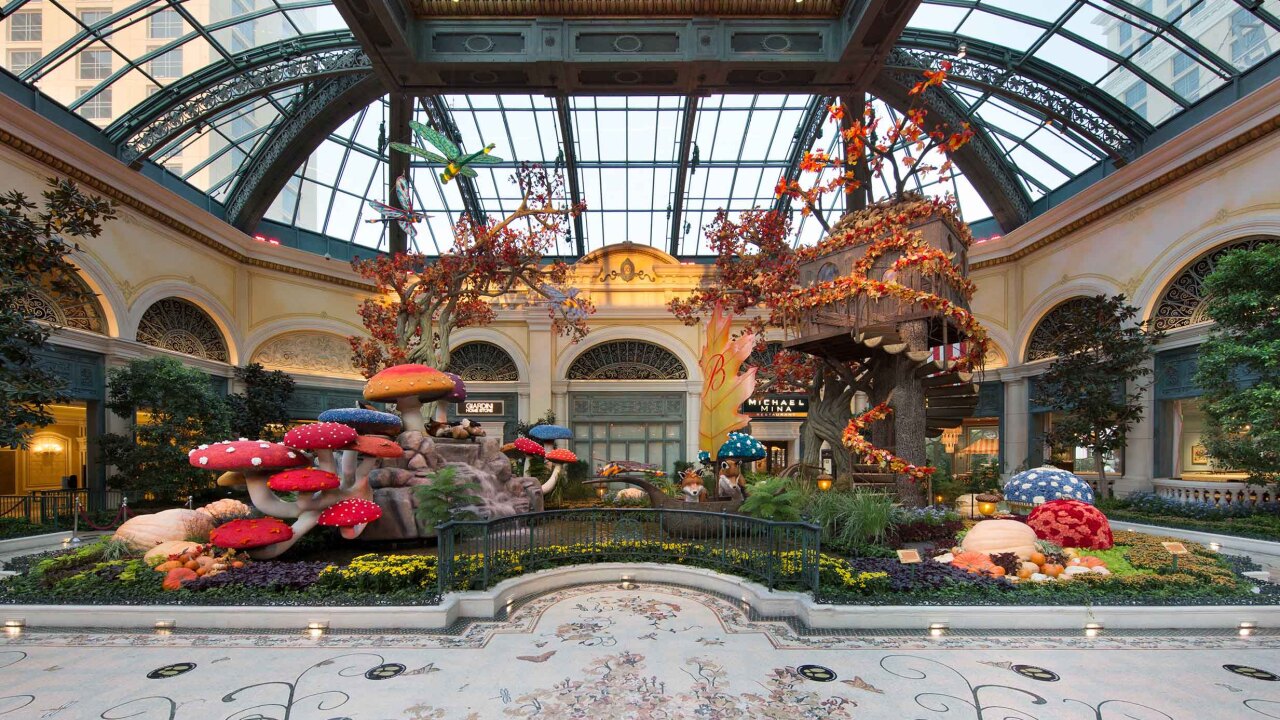 Bellagio's Conservatory debuts new Autumn display Bellagio's Conservatory debuts new Autumn display