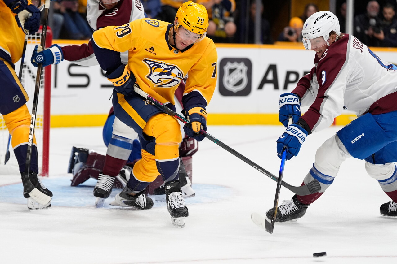 Avalanche Predators Hockey
