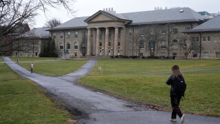 Cornell Investigation