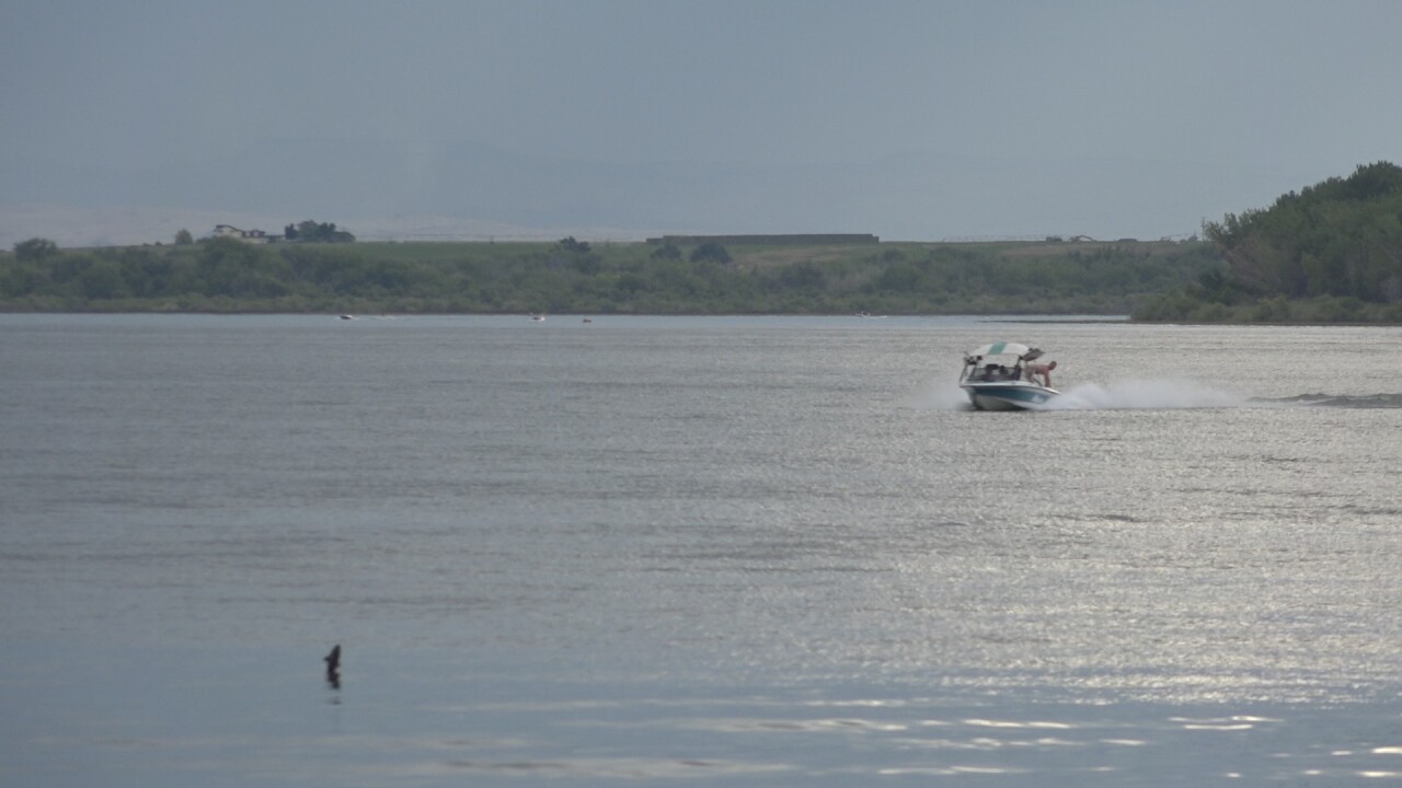A fish jumps at Lake Lowell