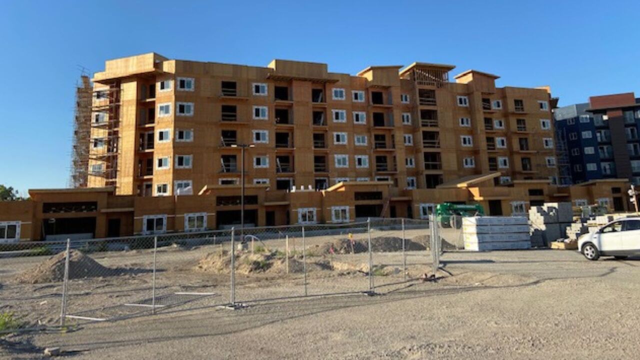 Image - 2022-07-11T193743.557.jpg