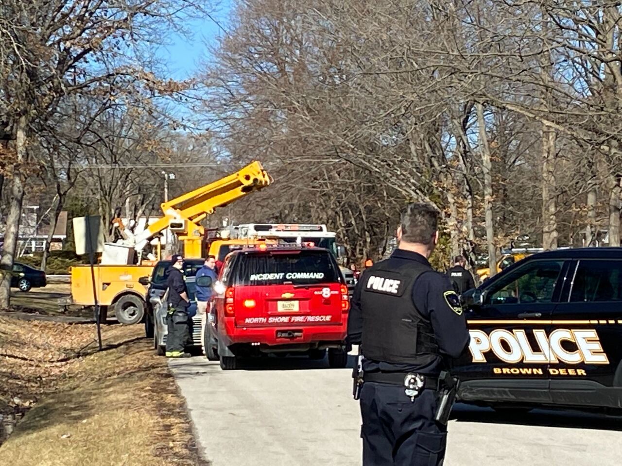 Man killed by tree branch
