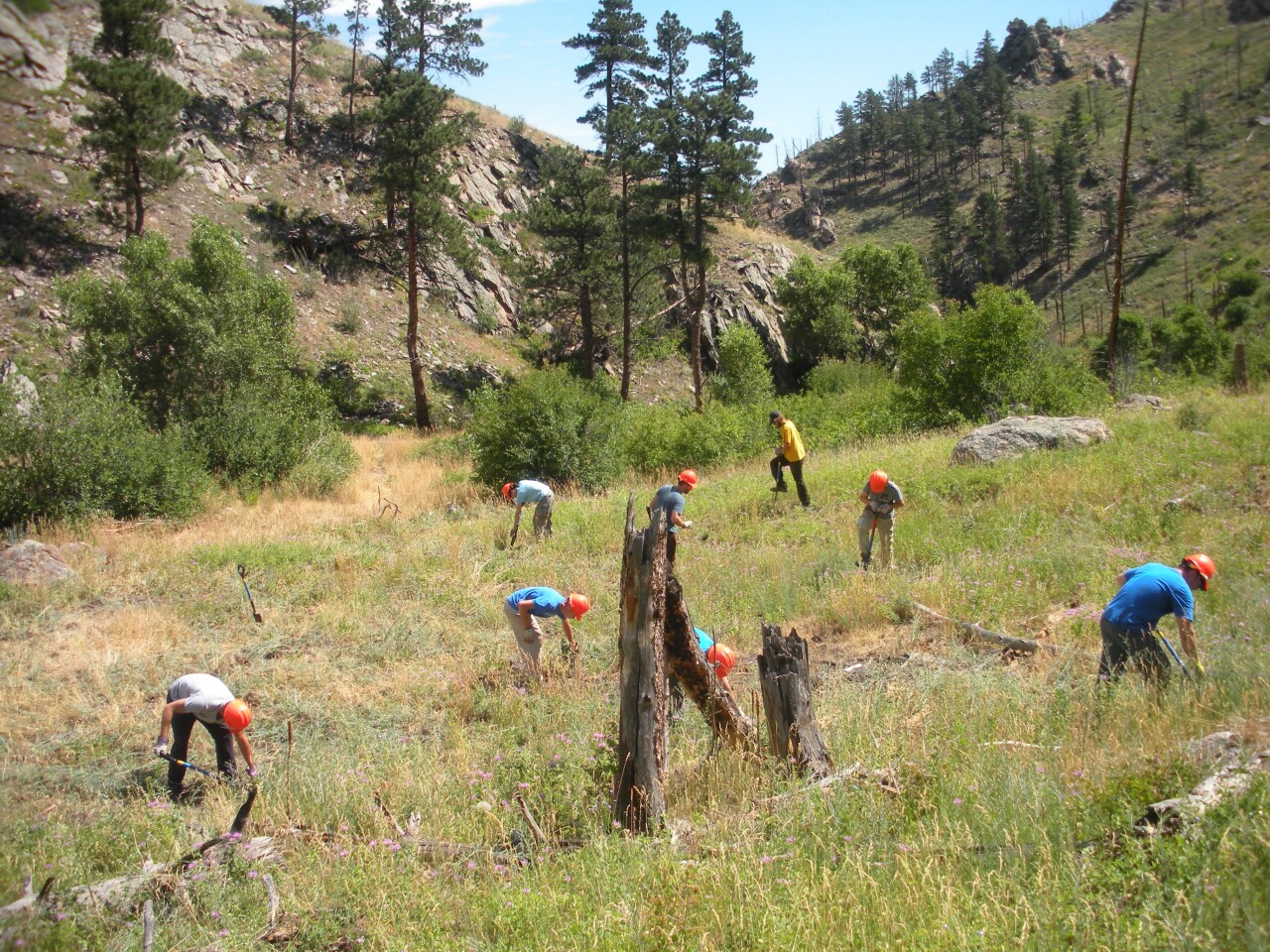 CU Boulder students conducting research at the Spruce Gulch Wildlife and Research Reserve.jpg
