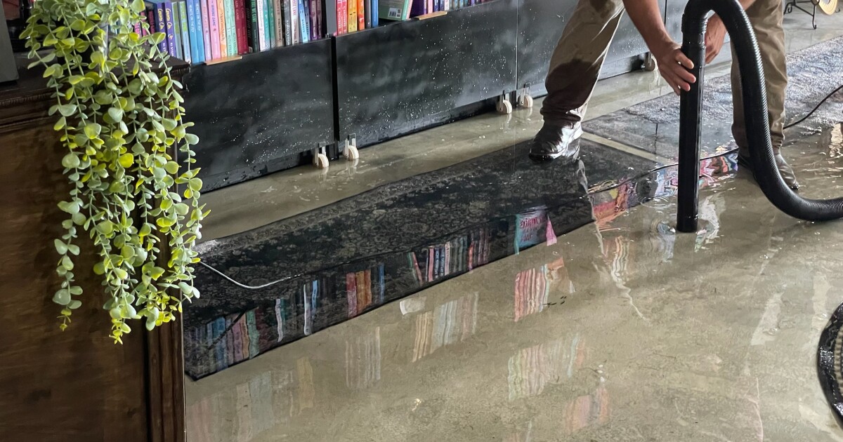 Davidson County Flood devastates new Nashville bookshop, community rallies to help owner recover Eric Pointer