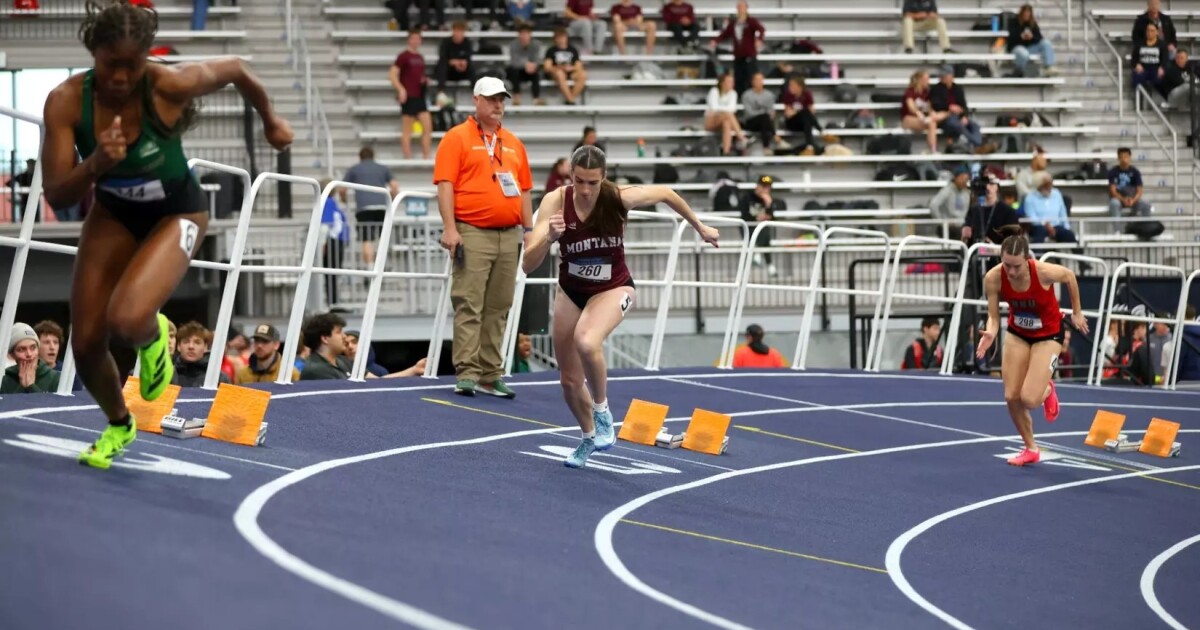 5 program records tumble for Montana Grizzlies at Carignan Classic