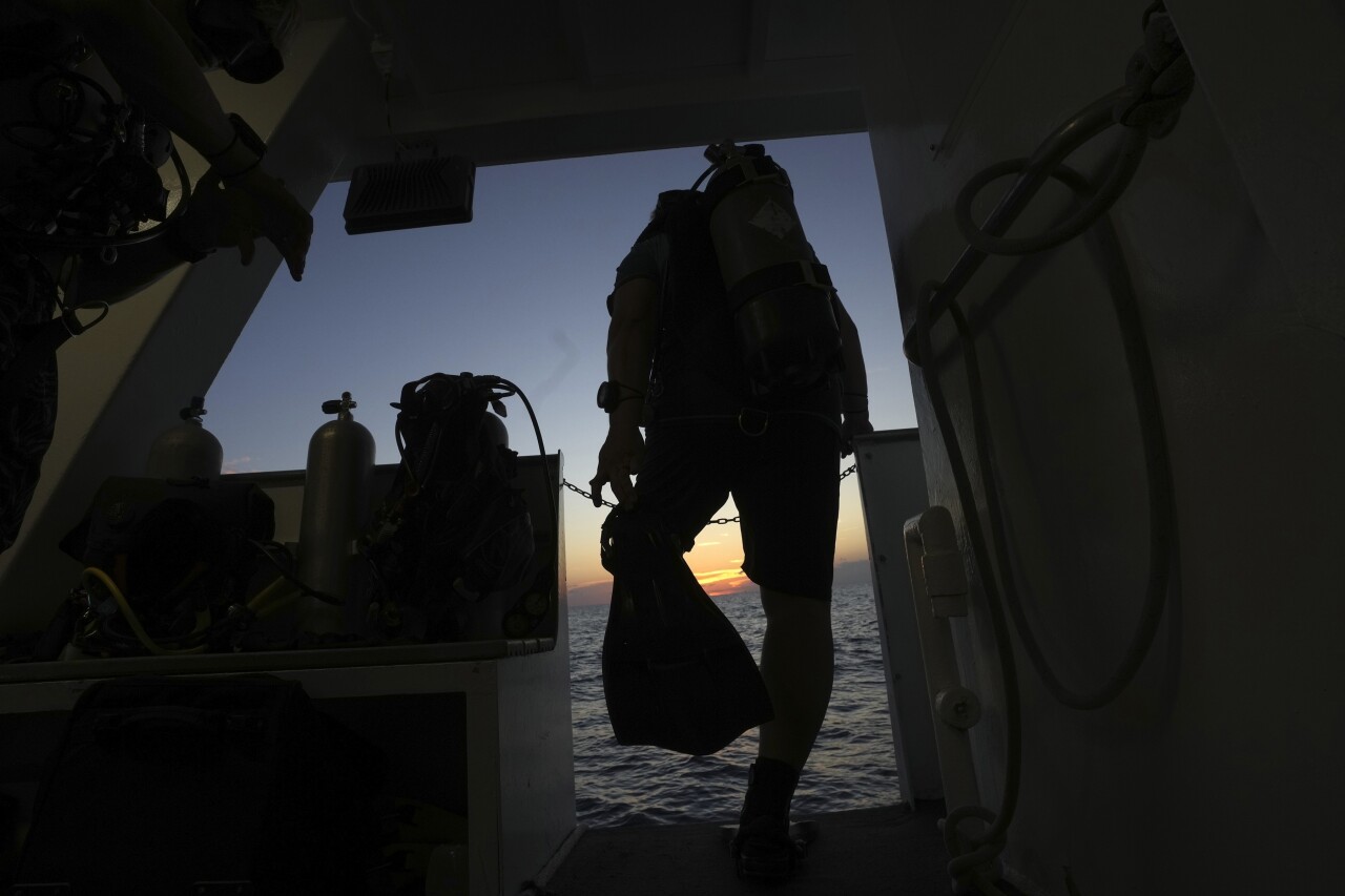 Climate change hurting coral, but these reefs off Texas thrive - Los  Angeles Times