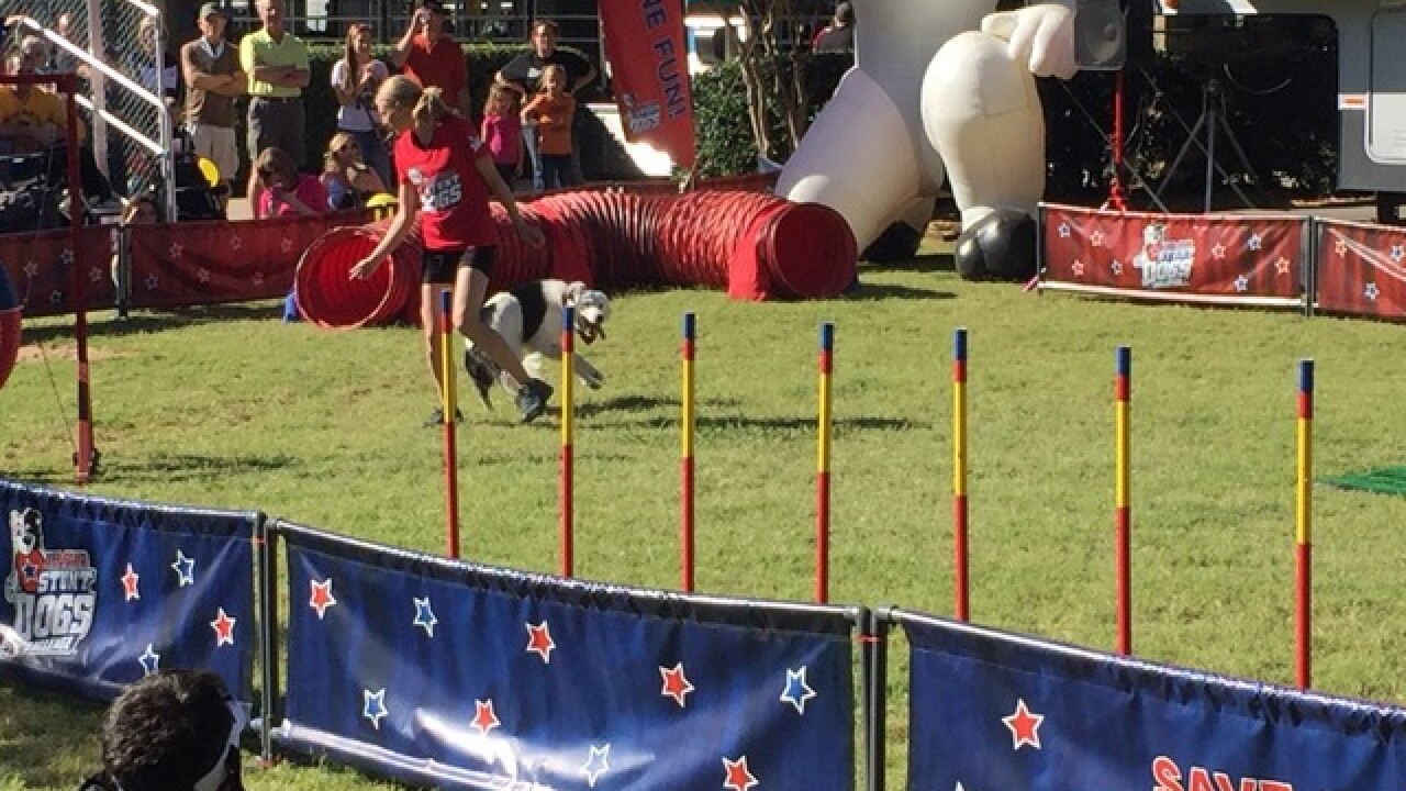 Tulsa State Fair: Goat-Tastic 2015