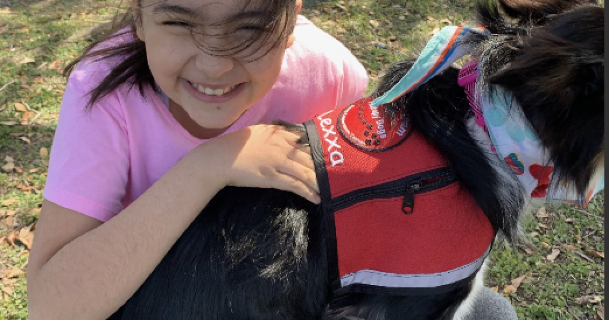 Therapy dog helps child with autism break through communication challenges - Vimarsana News