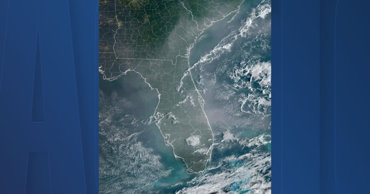 Smog in the Tampa Bay area: Why is it hazy? - Vimarsana News