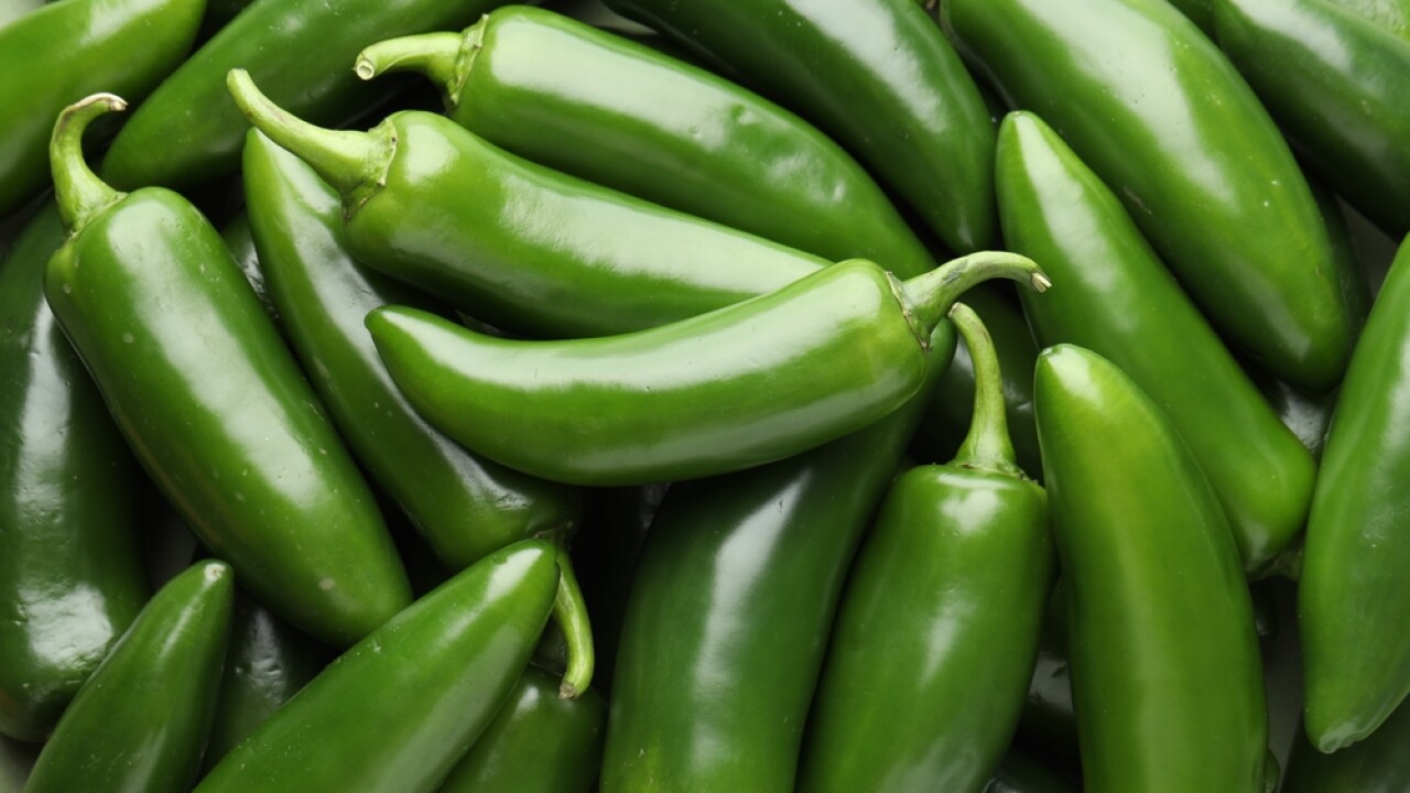 Many,Green,Jalapeno,Peppers,As,Background,,Closeup