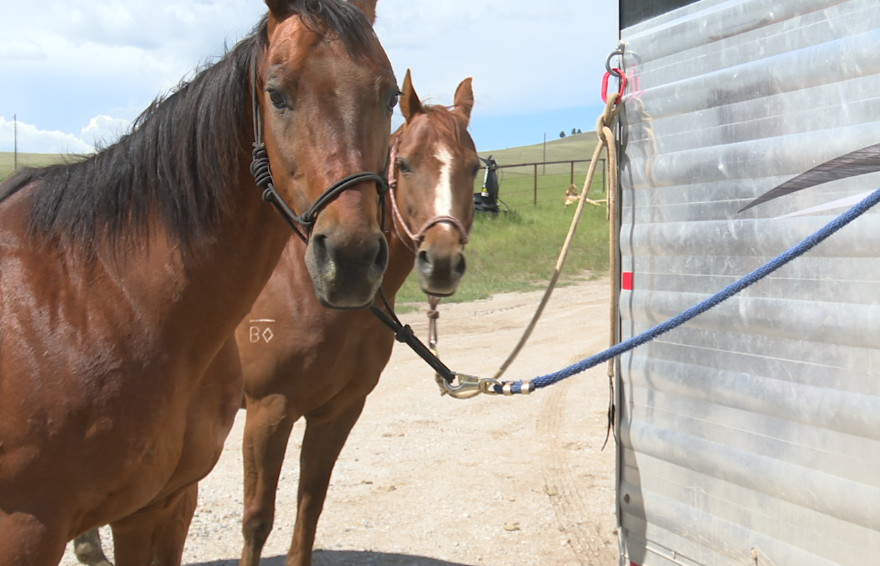 Helena's Hailey Burger to compete in National High School Finals Rodeo