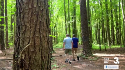 Stumpy Lake, take a walk