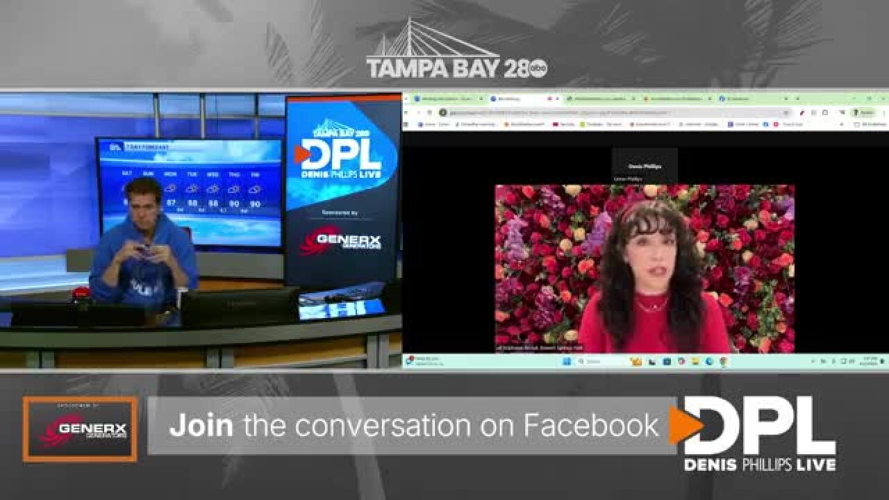 Denis Phillips Live: Bloom at Bonnet Springs Park