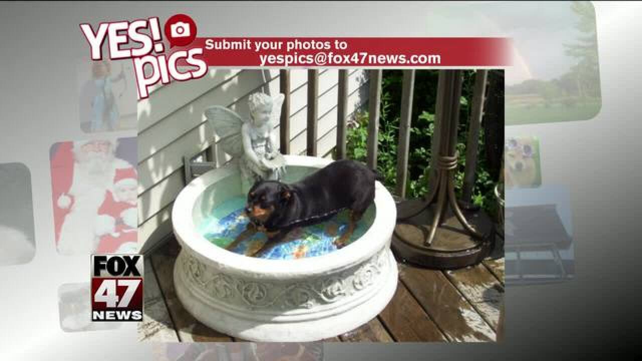 Yes! Pics: 7/10/18