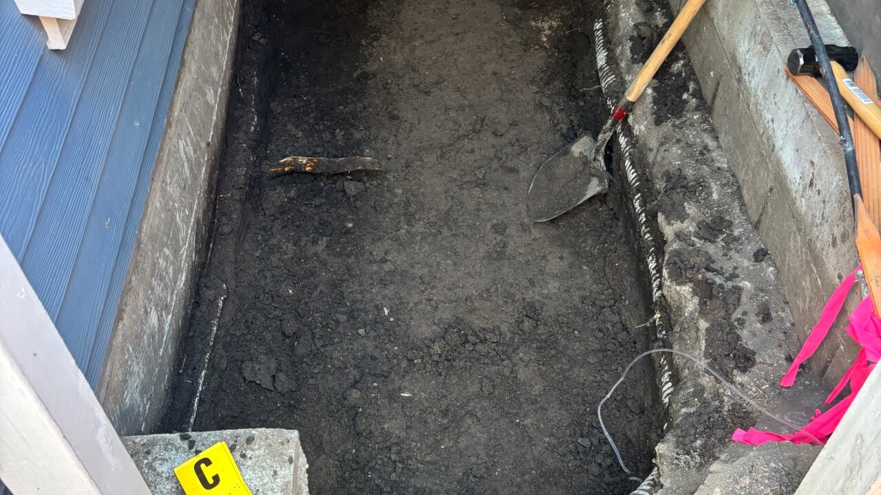 Excavation 2.jpg