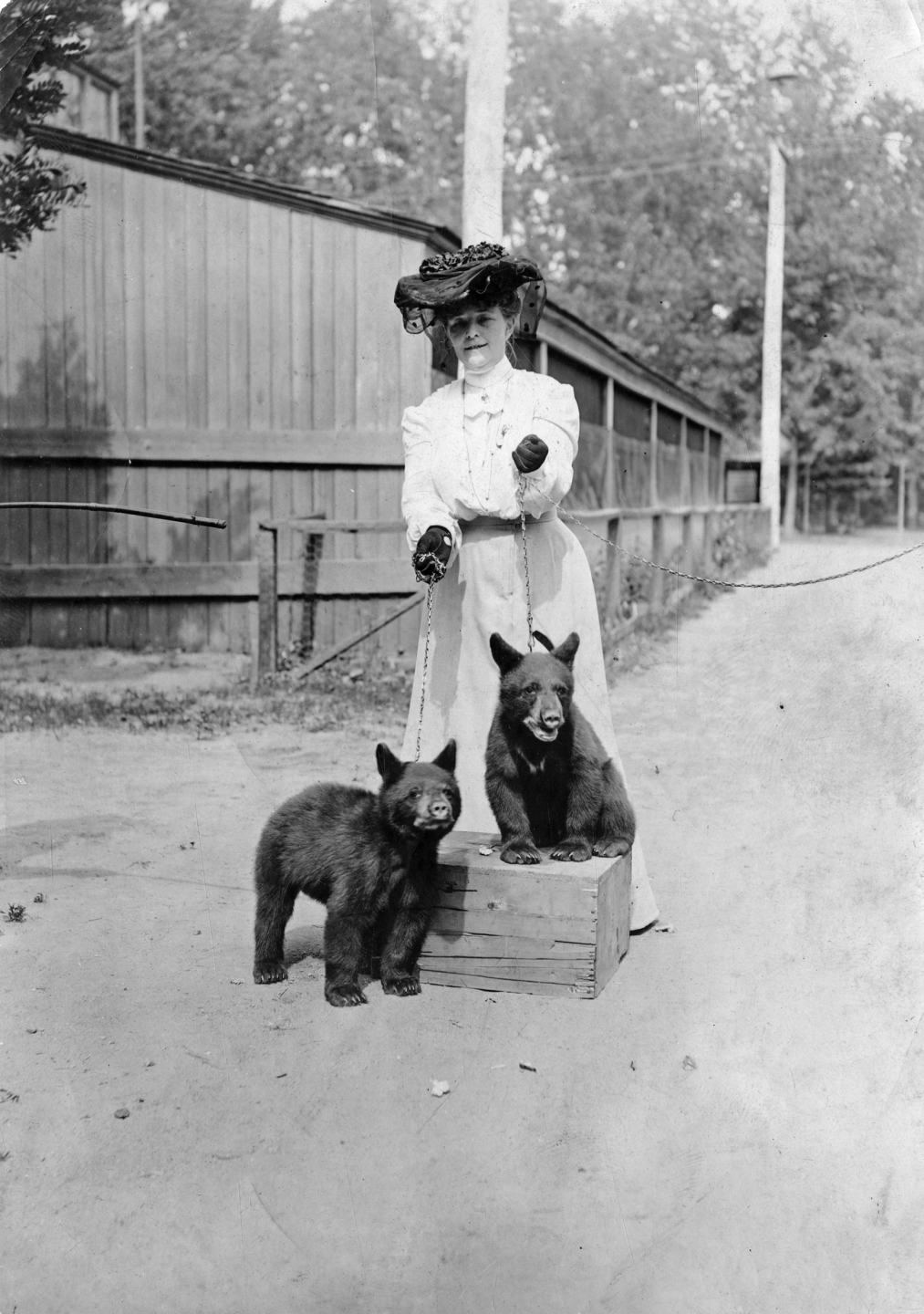 mary-elitch-two-bears