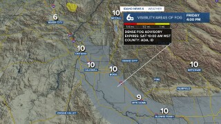 Dense Fog Advisory Friday Night/Saturday Morning