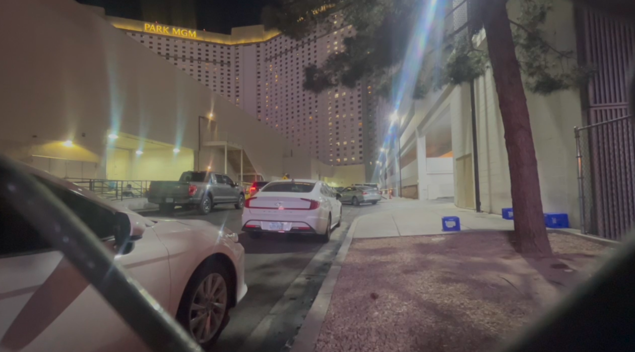 Argument between roommates turns fatal, LVMPD investigates