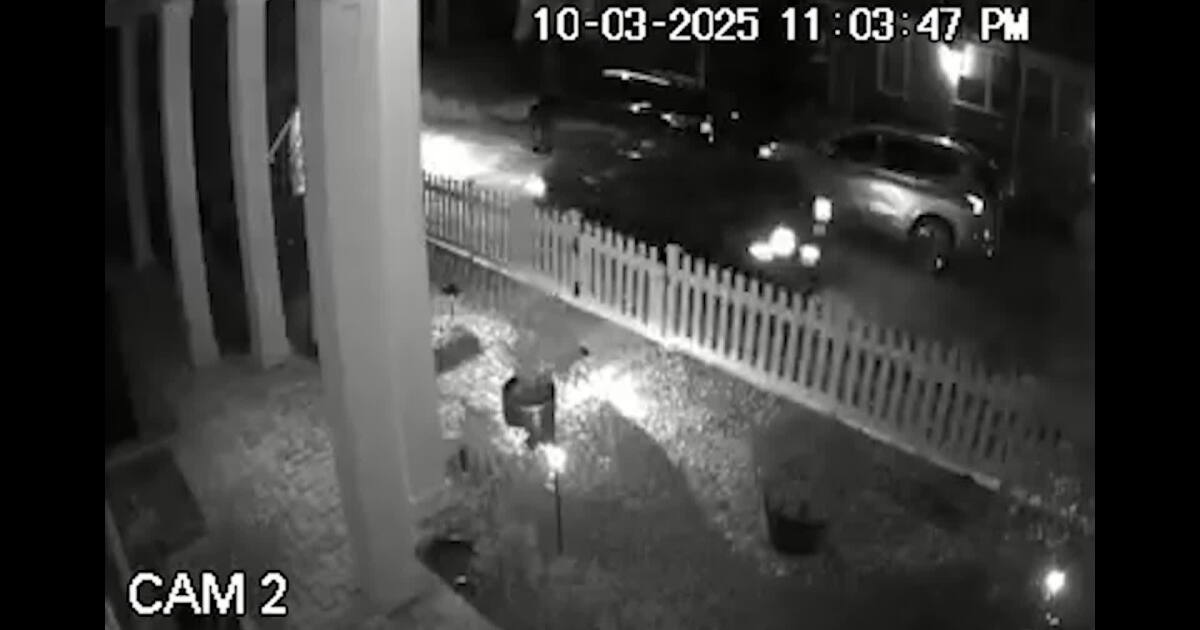 Police continue search for suspect in fatal hit-and-run that killed woman