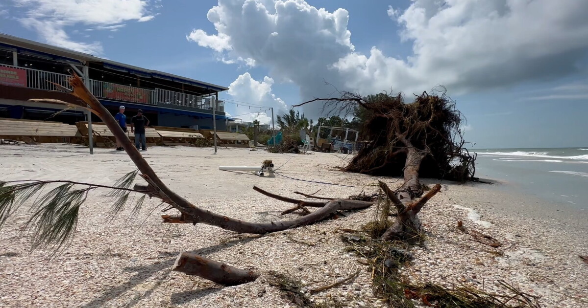 Idalia After the Storm: Pinellas County - Vimarsana News