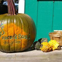 Peacock Farm Fall Family Fun on the Farm~American Revolution Reenactment