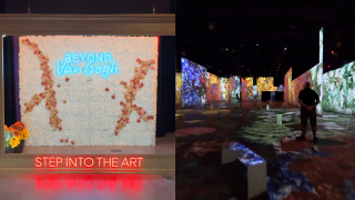 Beyond Van Gogh.png