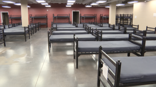 beds wide.png