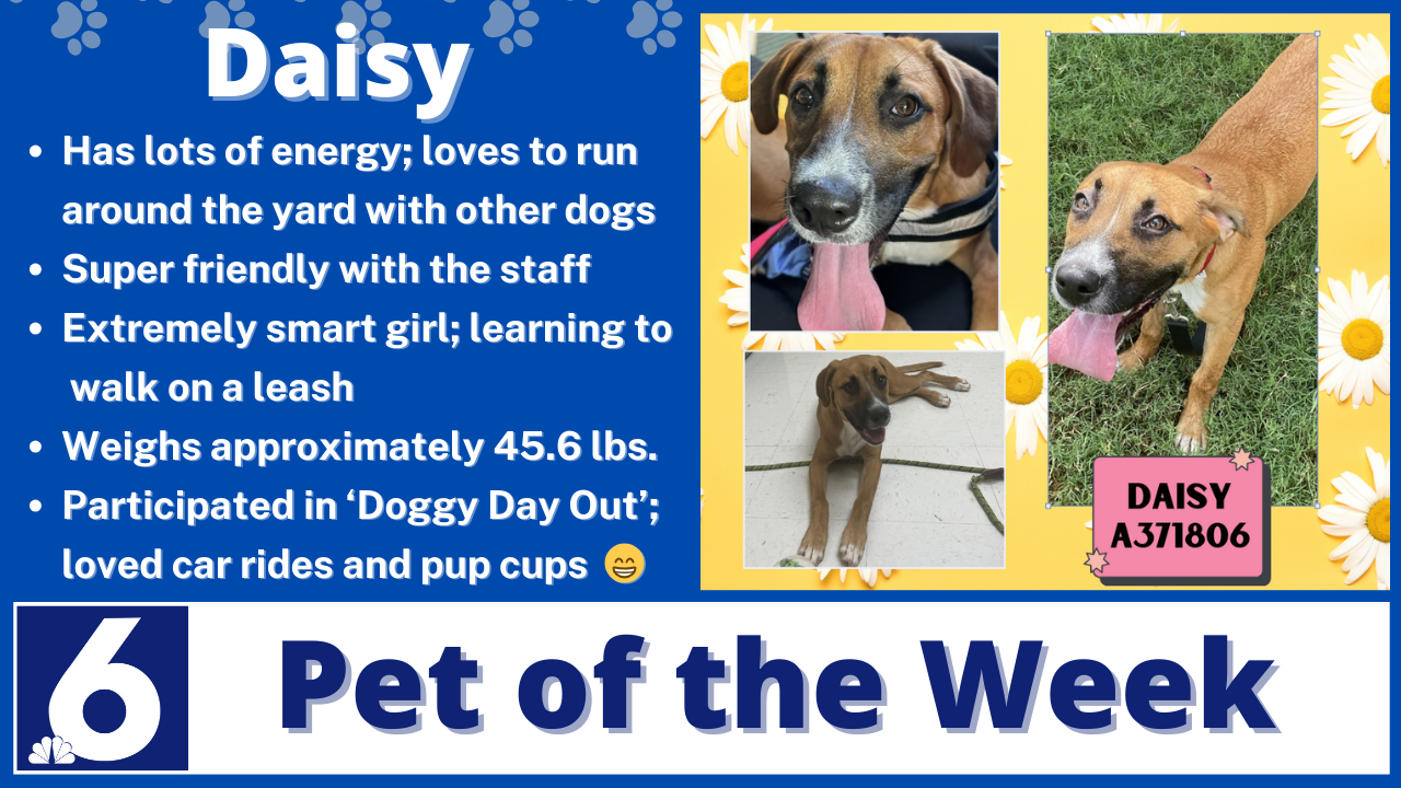 Pet of the Week: Daisy