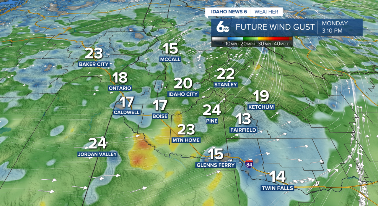 Future Wind Gusts
