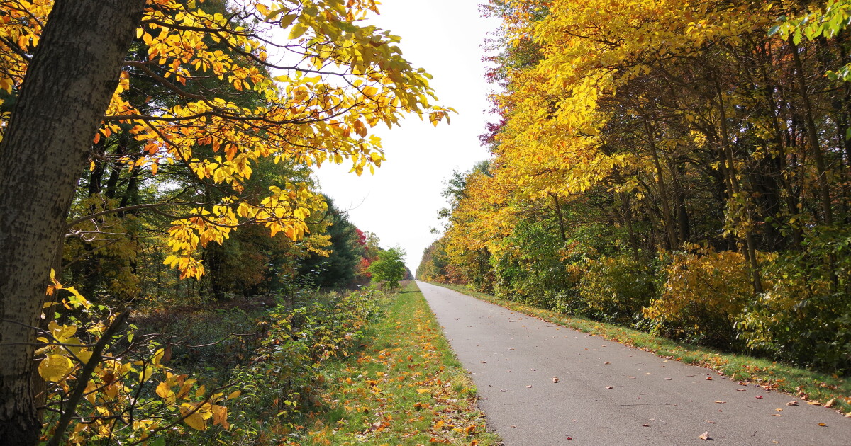 Fall colors are on their way - Vimarsana News