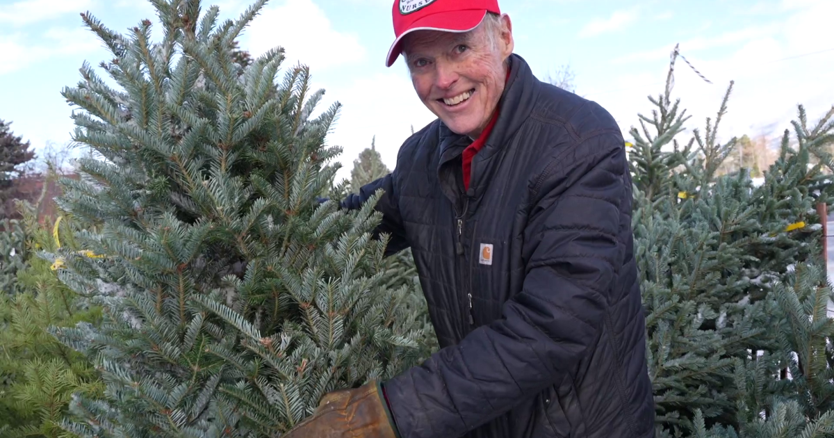 Montana Ag Network: it's time for Christmas trees