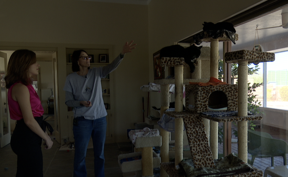 Rebecca Davis points to a pair of bonded cats at Hearts That Purr