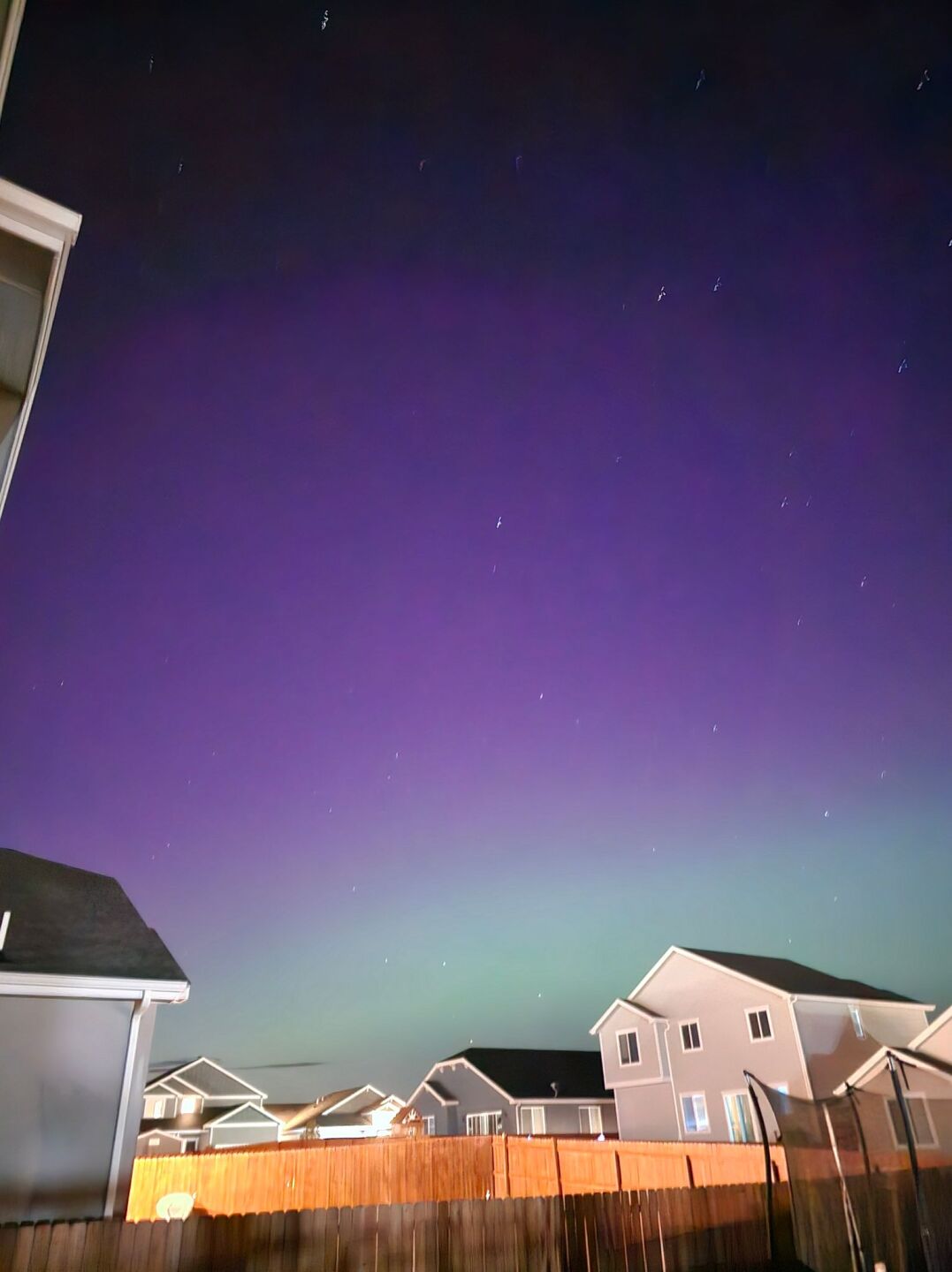 Falcon | Deborah Olfff