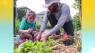 Support the community at Saint Joseph’s Villa